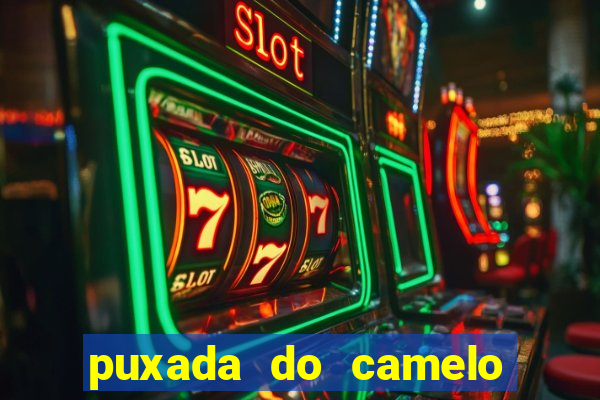 puxada do camelo no jogo do bicho